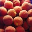 Peaches in Container